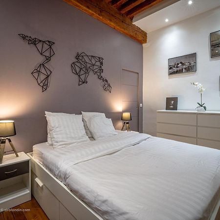 L'Ecrin De Chambery, Coeur De Centre Ville, Calme Et Espace Екстер'єр фото